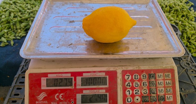 Adile Naşit Haklı Çıktı… Dokunanı Yakıyor