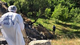 Ağaca Asılı Ceset Bulundu