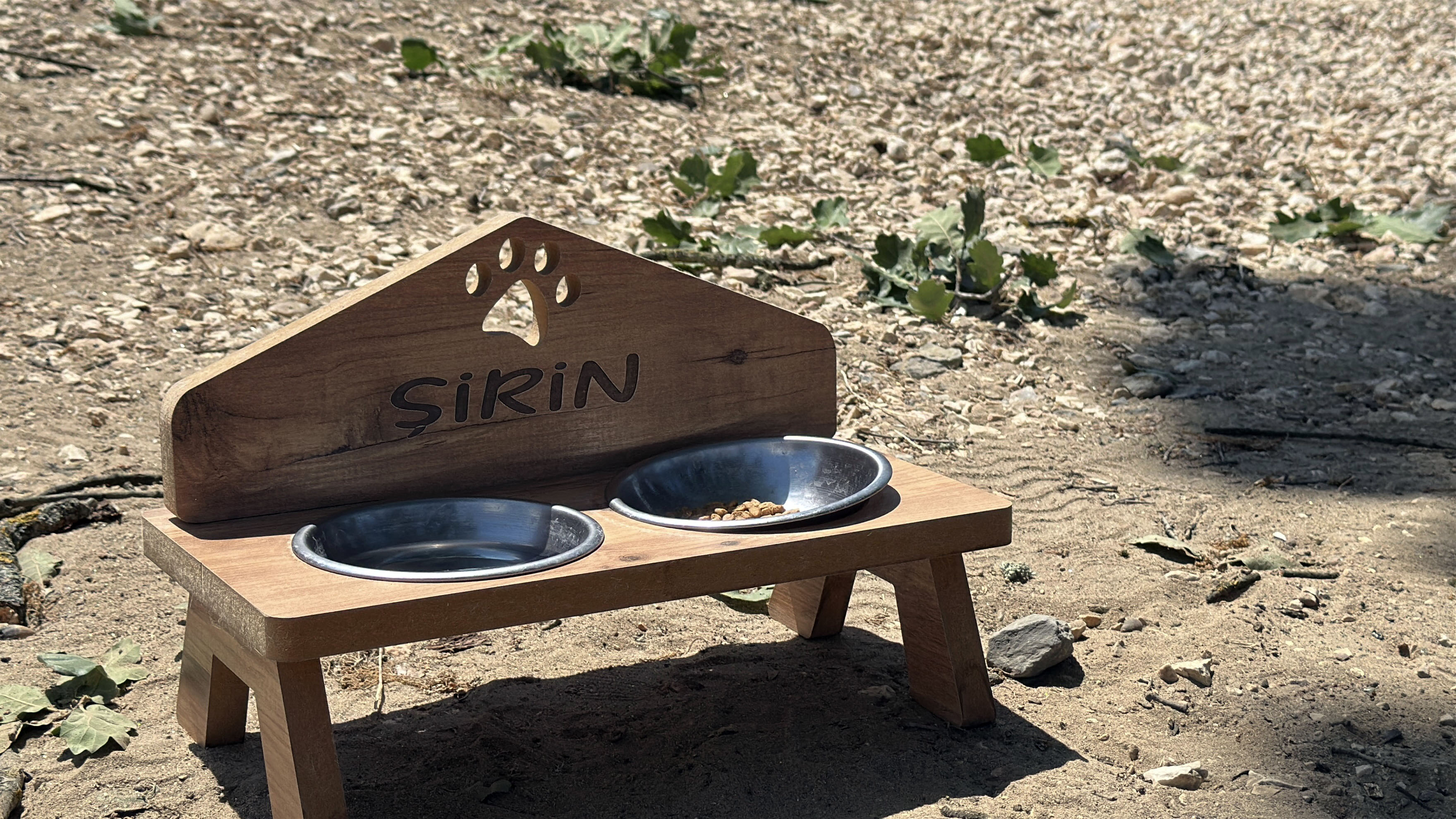 Kedi Şirin, kurtarılmasından sonra mutlu bir şekilde.