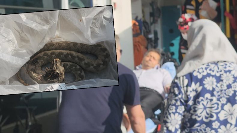 Ailesiyle Gittiği Bayram Pikniği Kâbusa Dönüştü