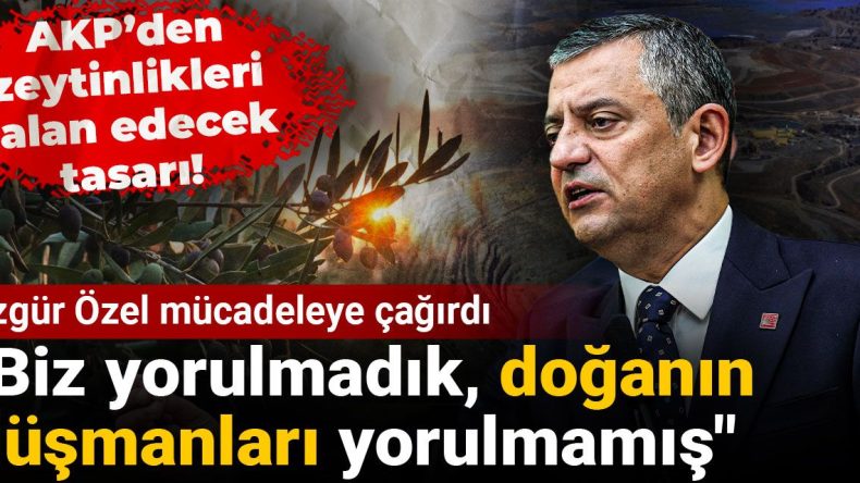 AKP’nin Zeytinlikleri Talan Edecek Tasarısı! Özgür Özel Mücadeleye Çağırdı