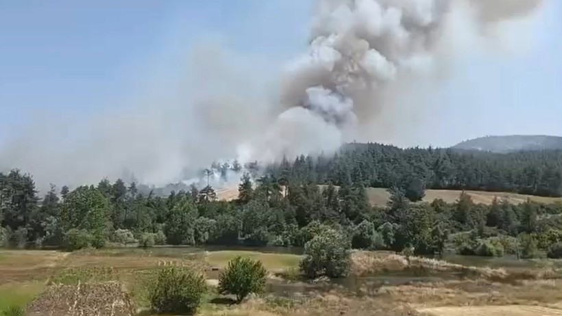 Nilüfer orman yangını