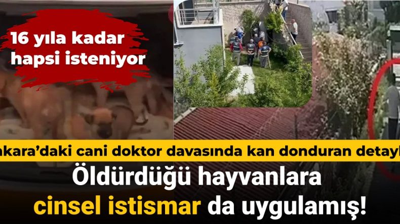 Ankara’daki Canavar Doktorun Dava Sürecinde Şok Edici Ayrıntılar: Öldürdüğü Hayvanlara Cinsel İstismar Uygulamış