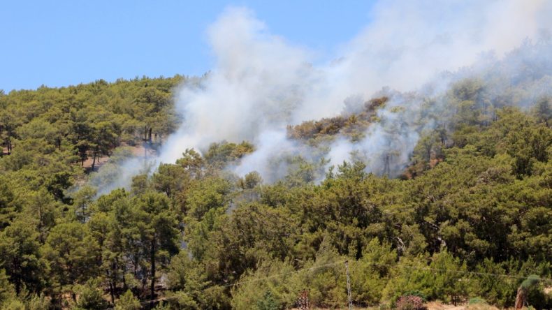 Antalya'da Orman Yangını