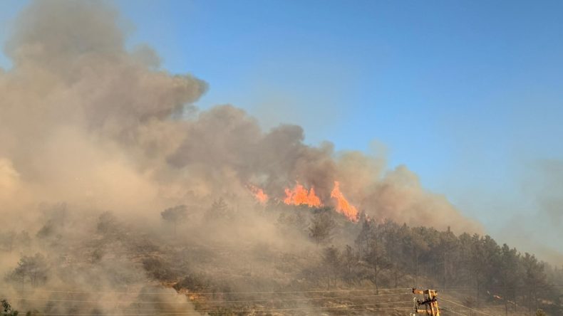 Antalya'da Orman Yangını Çıkıyor
