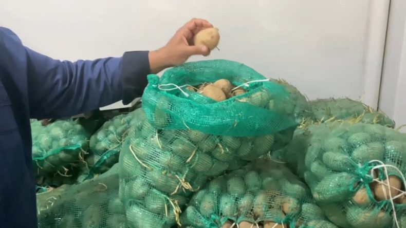 Ardahan’da Çiftçiler Isyan Etti: 60 Ton Patates Tohumu Elimde Kaldı