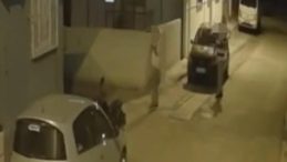 Arkadaşını Öldürdü, Paralar Havada Uçuştu