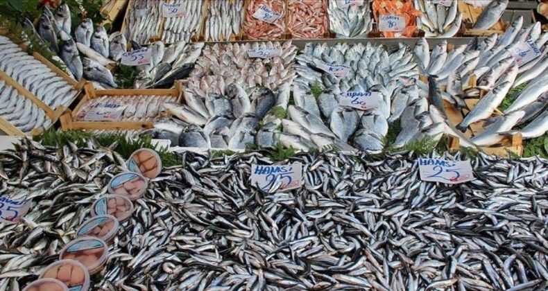 Balık fiyatlarında yüzde 90’a varan indirim!