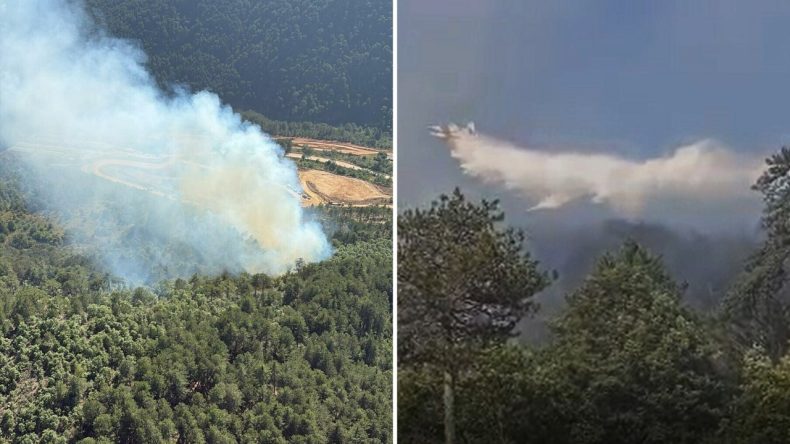 Balıkesir’de Orman Yangını