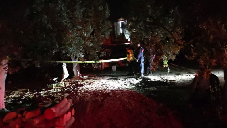 Baltayla İşlenen Vahşi Cinayette Tutuklama: Suçunu İtiraf Etti
