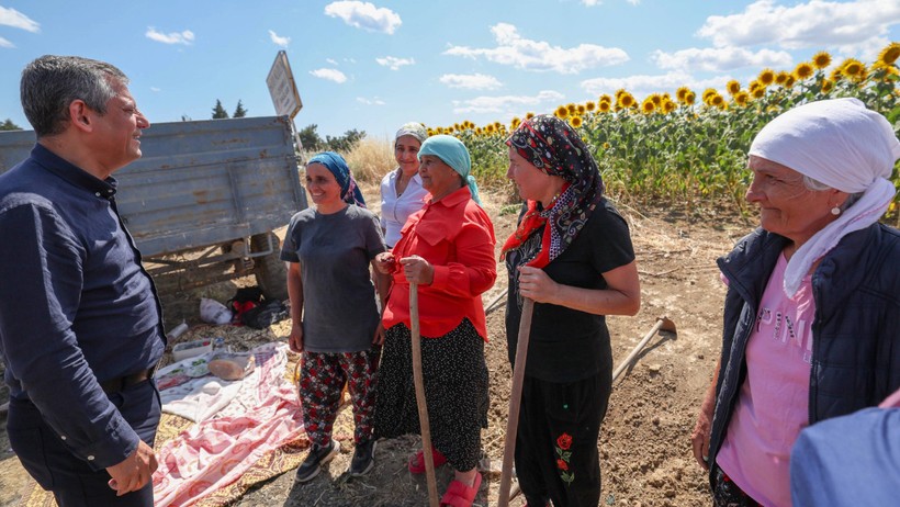 Buğday Hasadı
