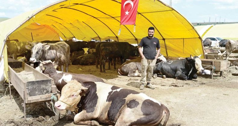 Besiciye Emisyon Darbesi Geliyor