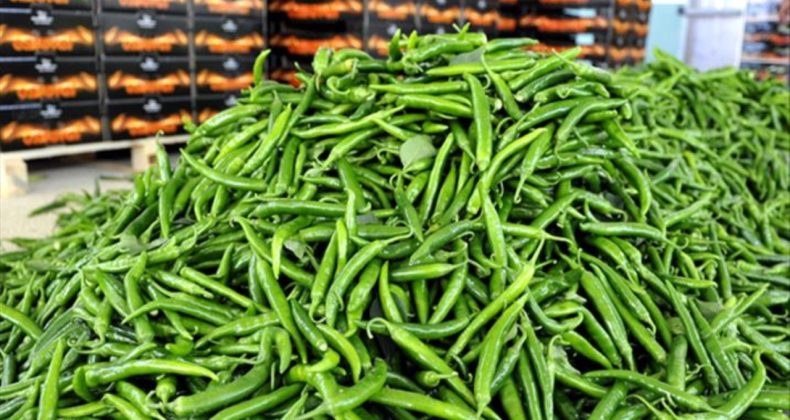 Biberde Üretici ile Market Arasında Yüzde 283’lük Fark