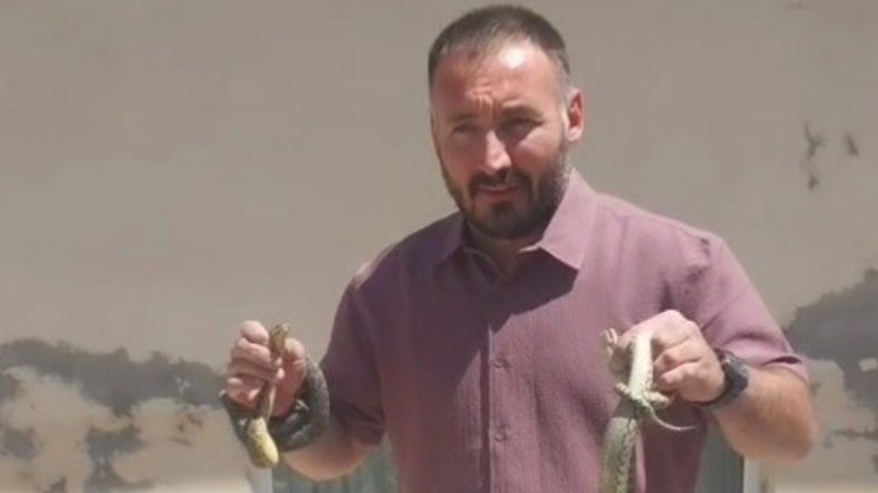 Bilecikli Yılan Avcısı: Ellerini Kullandı
