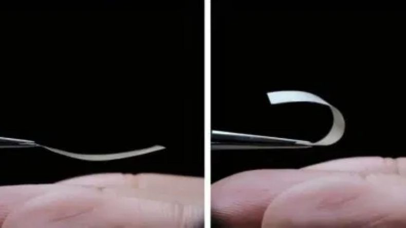 Bilim İnsanları Canlı ‘Plastik’ Üretti
