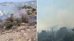 Bodrum’da Maki Yangını Başladı