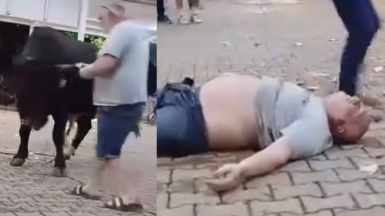 Boğaya Para Attı, Hastanelik Oldu