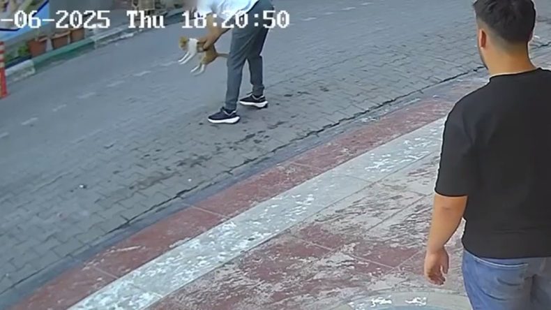 Boğulan Kediyi Heimlich Manevrasıyla Kurtardı