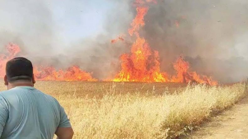 Buğday Tarlasındaki Yangın Sürüyor! Müdahale Ekipleri Çalışmalara Devam Ediyor