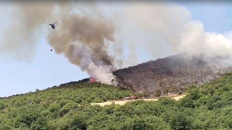 Bursa'da Orman Yangını Çıktı