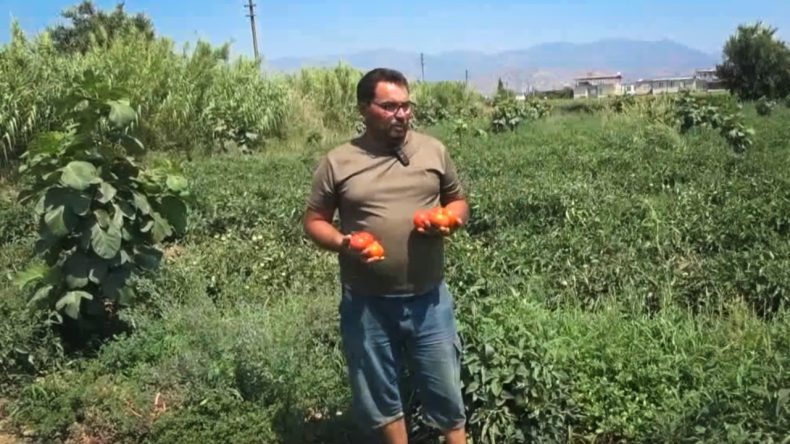 Çaresizliğini Anlattı: "500 Bin TL Zarar Ettik"