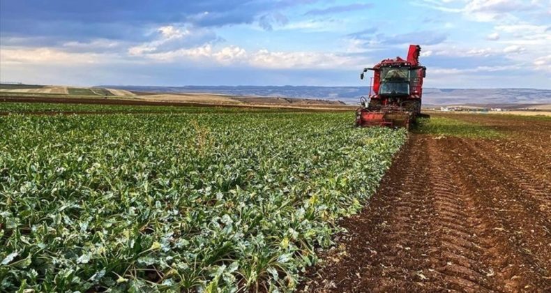 Çiftçiye Yeni Kredi Paketi Geliyor