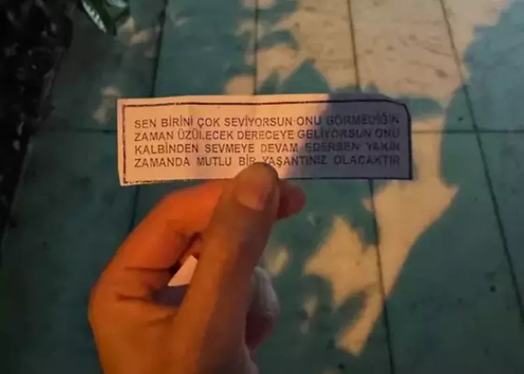 Gülen çift