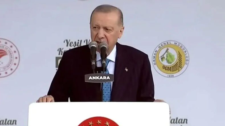 Cumhurbaşkanı Erdoğan: Artan Sıcaklıklar Orman Varlığımızı Tehdit Ediyor
