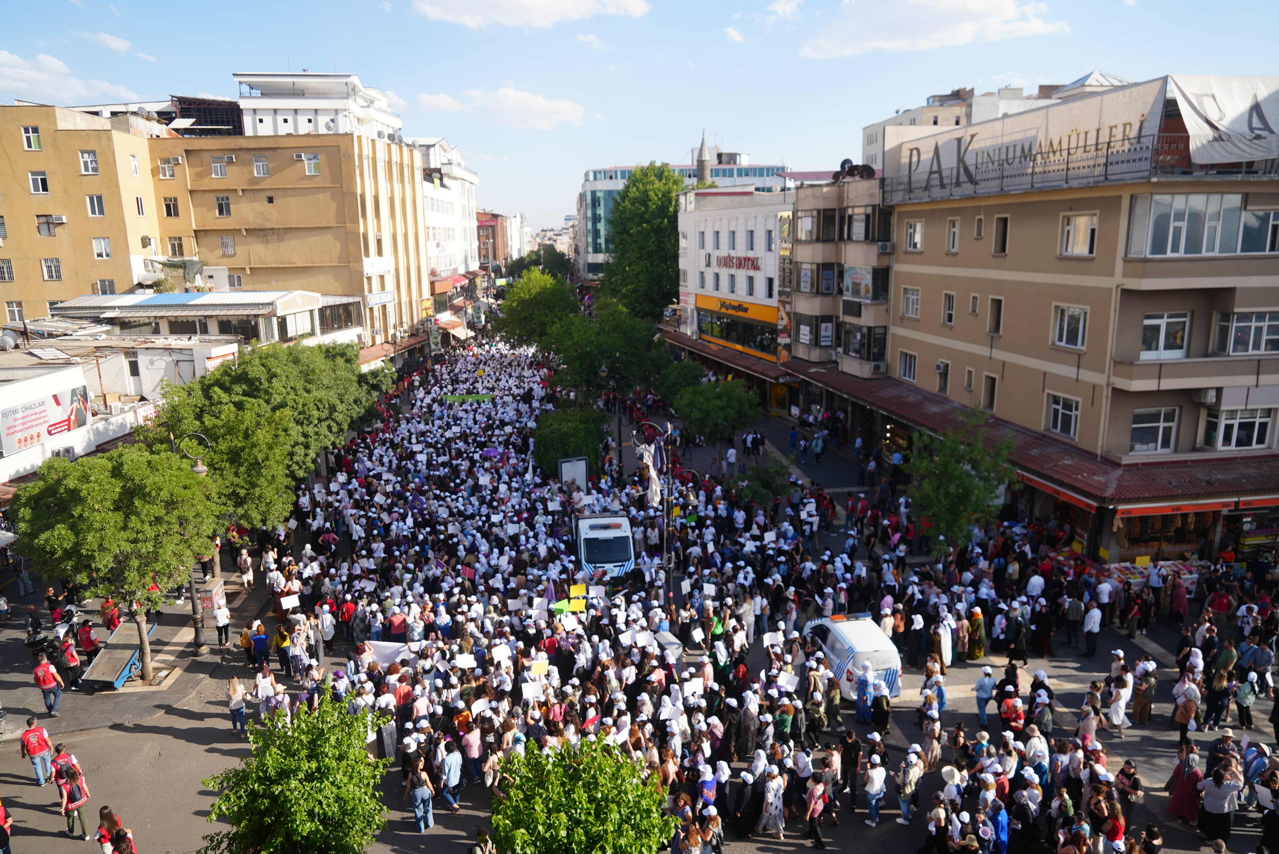 DEM Parti Eş Genel Başkanı Hatimoğulları