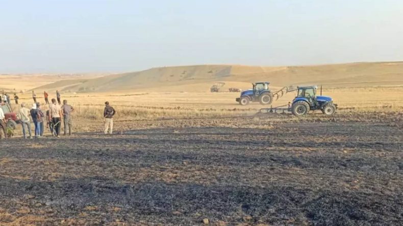 Diyarbakır’da Yangın: 30 Dönümlük Arazi Zarar Gördü