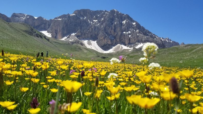 Doğa Severlerin Yeni Gözdesi: 3 Bin Rakımda Gizli Cennet
