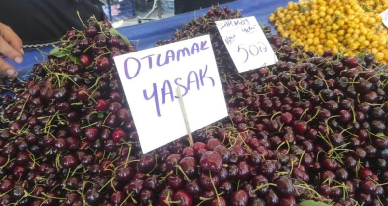 Dünya Birincisi Türkiye’de Kiraz Lüks Haline Geldi