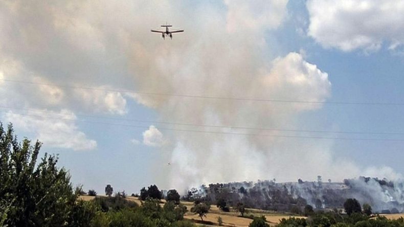Edirne’de Ormanlık Alanda Yangın Çıktı