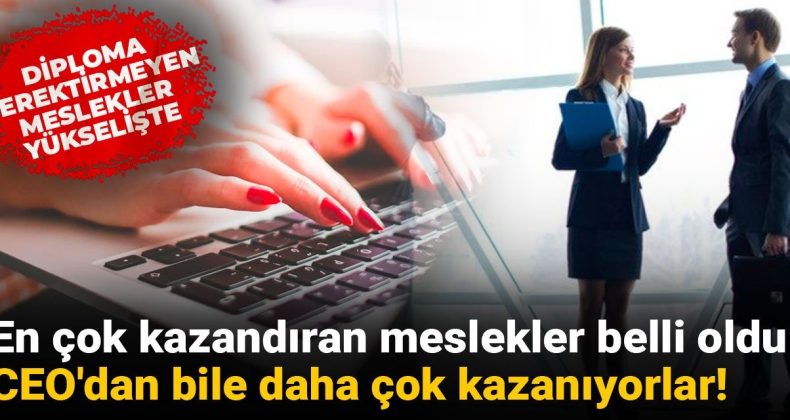 En Çok Kazandıran Meslekler Belli Oldu: CEO’dan Daha Fazla Kazanan O Meslekler!