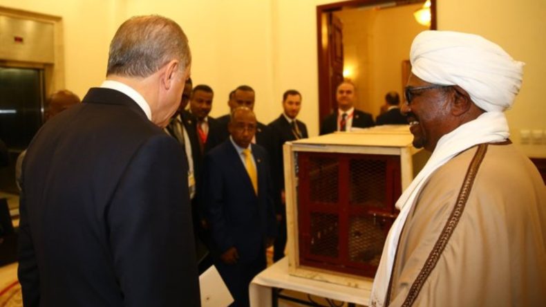 Erdoğan'ın Aslanları Yavruladı