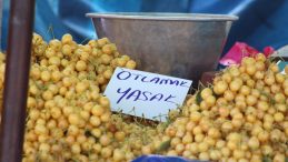 Festivaldeki Afiş Tepki Topladı, Zabıta Müdahale Etti
