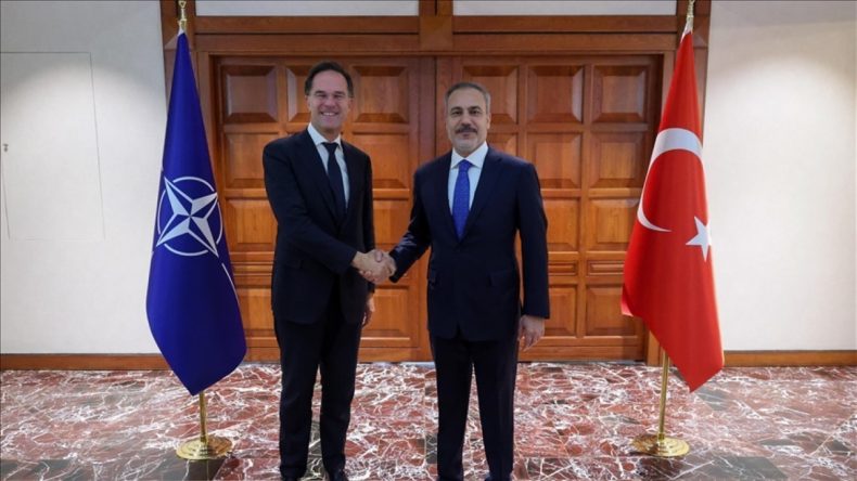 Fidan, Rutte ile Görüştü