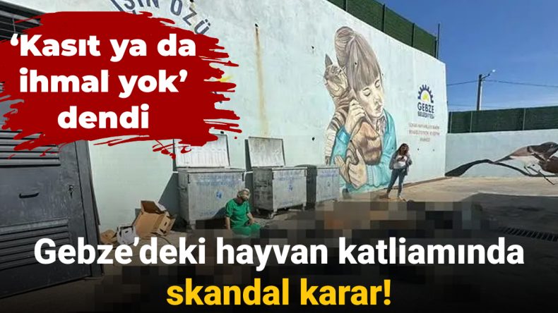 Gebze’deki Hayvan Katliamında Şok Eden Karar: ‘Kasıt ve İhmal Bulunamadı’