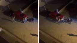 Hatay’da Tadilat Kavgası: Silah ve Bıçakla Yaralanmalar