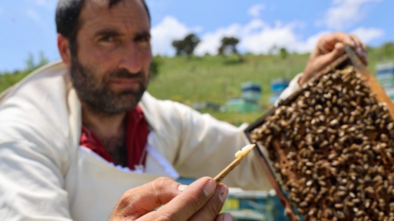 Her kovanda çay kaşığı kadar çıkıyor: Kilosu 45 bin lira