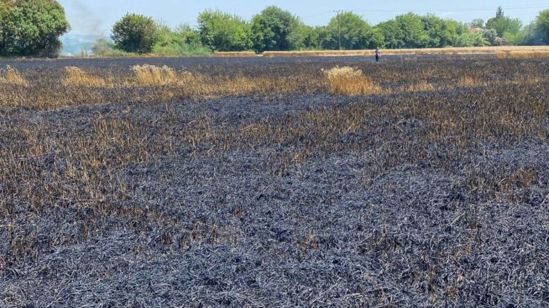 Herkes fiyatlara odaklandı, tehlike sessizce büyüdü: Bu ateş hepimizi yakar