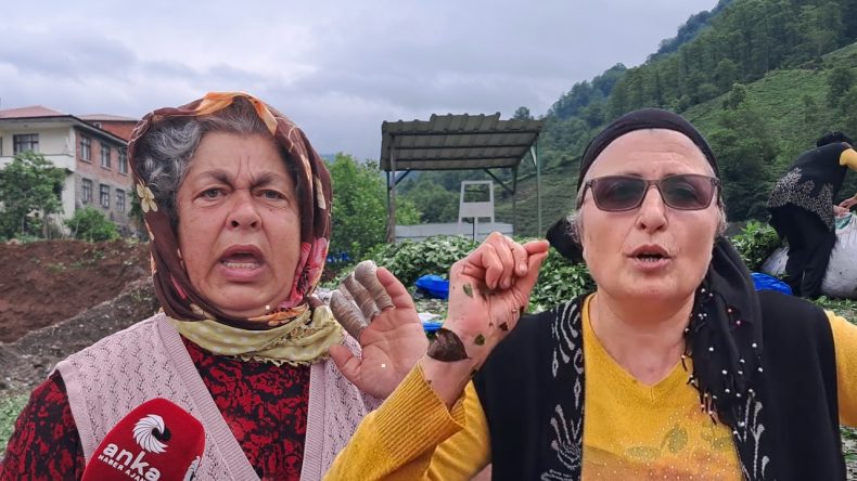 İki Kadın İki İsyan: ‘Haram Olsun’