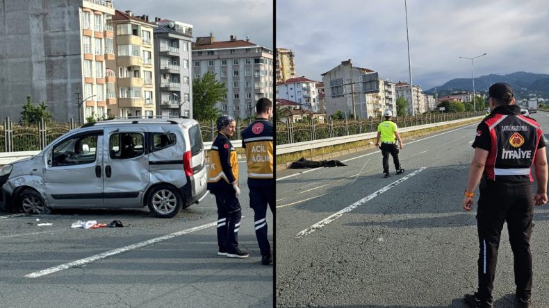 İki Kardeş Arı Nedeniyle Hayatını Kaybetti