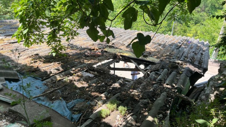İpini Koparan Boğa, 3 Metreden Otomobilin Üzerine Düşerken Büyük Şok Yaşandı