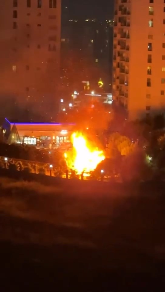 Yangın çıkan bahçe