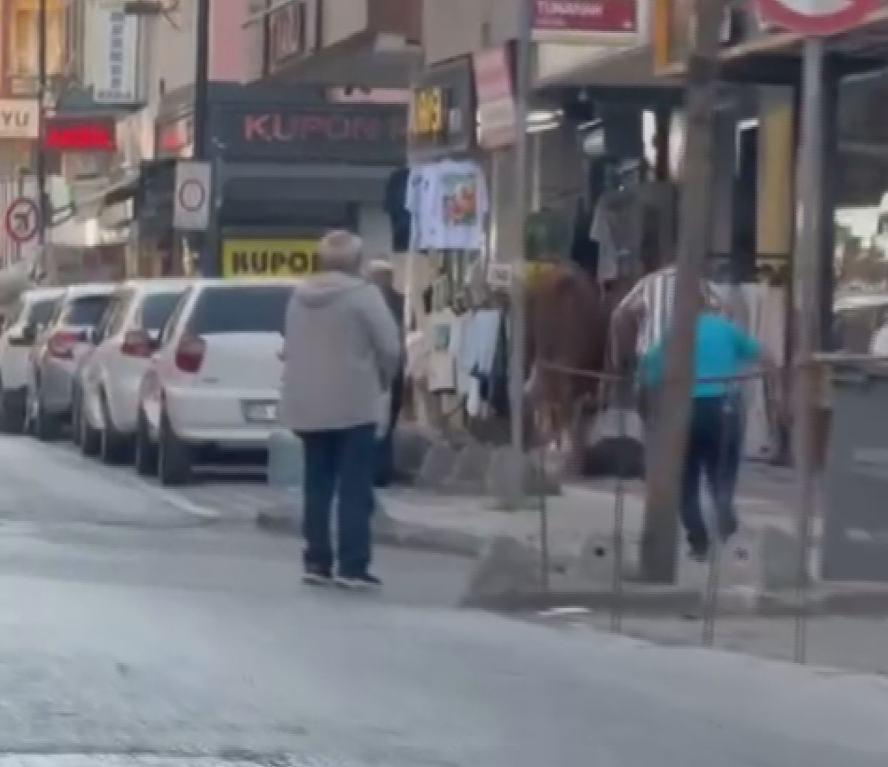 Kaçan boğa