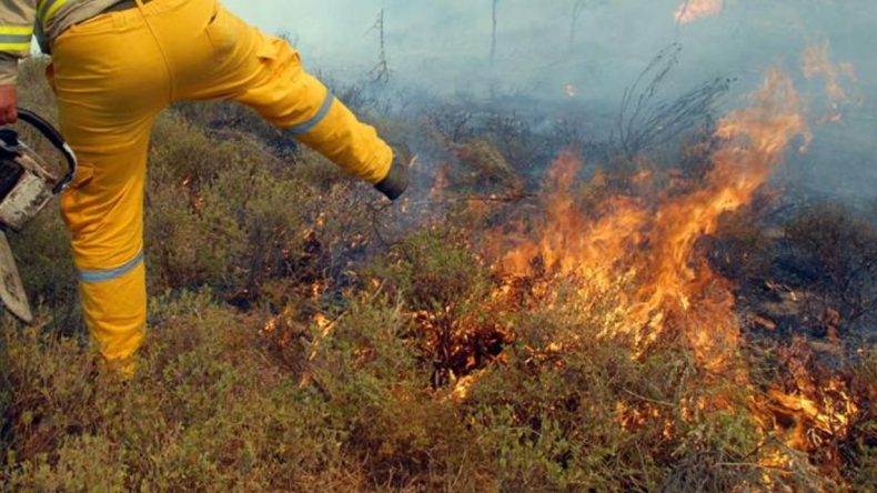 İzmir Seferihisar'da Yangın: Hem Karadan Hem Havadan Müdahale Ediliyor