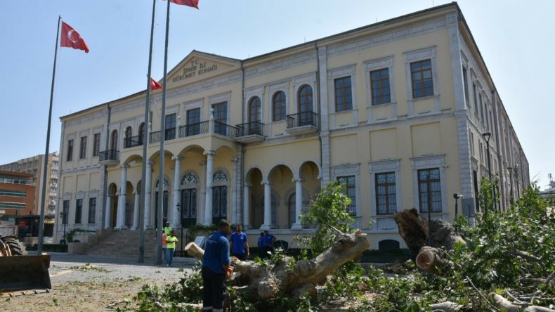 İzmir Valiliği Önünde Korkutan Anlar: Asırlık Çınar Devrildi