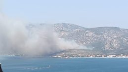 İzmir’de Orman Yangını: Havadan ve Karadan Müdahale Devam Ediyor