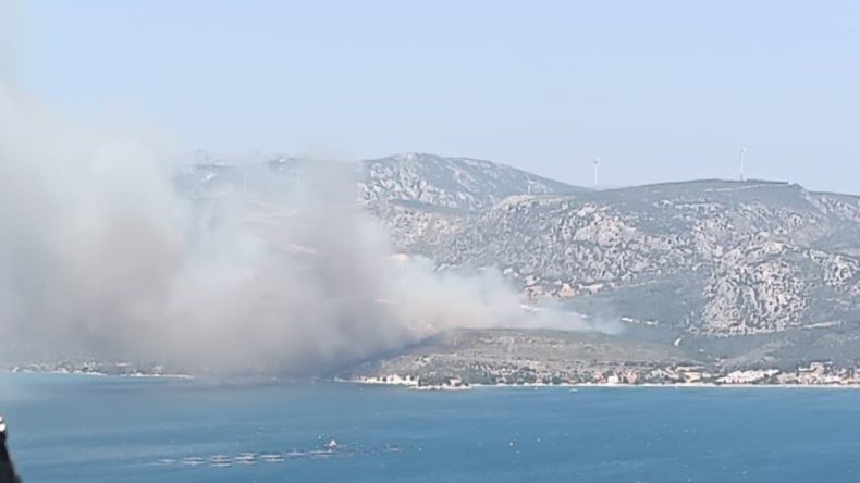 İzmir’de Orman Yangını: Havadan ve Karadan Müdahale Devam Ediyor